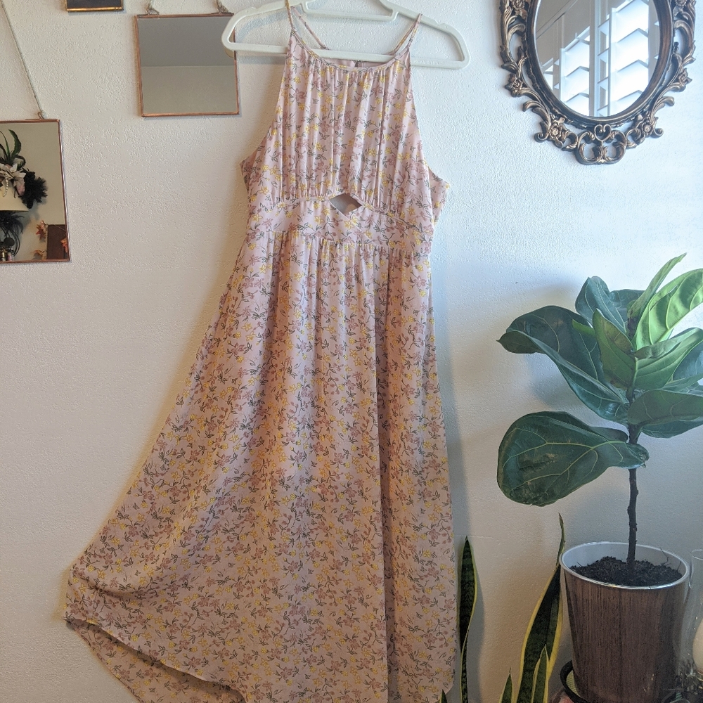 BCBG Rose Smoke Dress